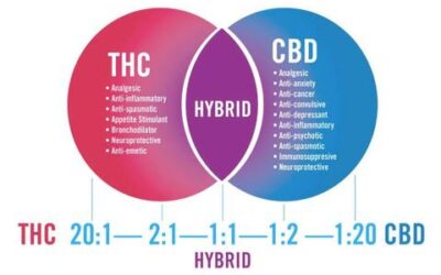 THC Products for Anxiety Management: Finding the Right Balance