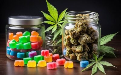 How Long Do Edibles Stay in Your System? Effects, Timing & the Best Edibles to Try