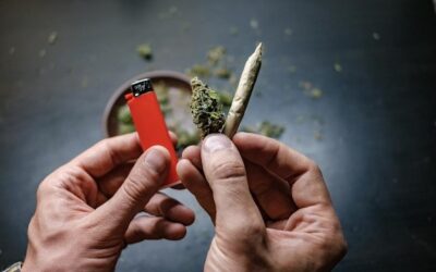 How to Roll a Joint with Papers Without a Filter: Step-by-Step Guide & Pre-Roll Alternatives