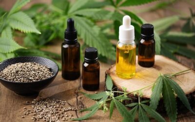 Is Hemp Oil the Same as CBD Oil? Key Differences, Benefits & Products You Can Trust