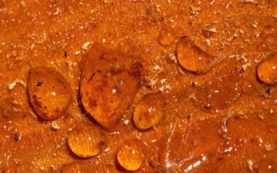 How Do You Smoke Live Resin? Methods, Tips & the Best Products to Try