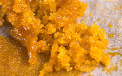 How Is Live Resin Made? Extraction Process, Benefits & Products Worth Trying