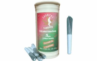 Infused Mini Joints: Benefits, Dosage, and Usage Guide