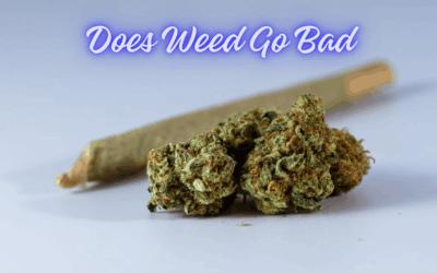 Does Weed Go Bad: Storage Tips to Keep Cannabis Fresh