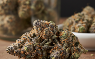 Donny Burger Strain: Flavor Profile and Effects