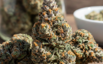 Gelonade Strain: Effects, Flavor, and Benefits