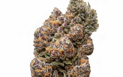Rainbow Runtz Strain: Effects, Flavors, and THC Info
