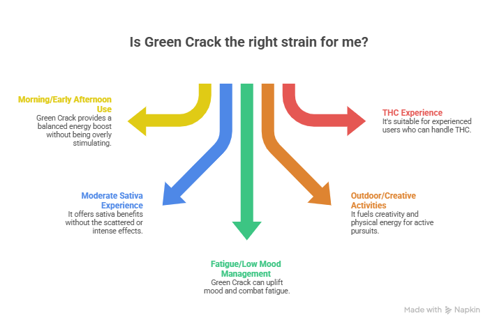 An infographic that uses colorful arrows to outline key benefits and ideal uses. It highlights how the Green Crack strain supports morning energy, creative activities, and mood management for users who can handle a moderate sativa experience.