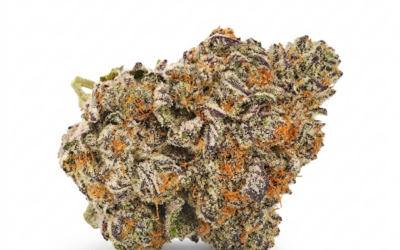 Ice Cream Cake Strain: The Ultimate Nightcap