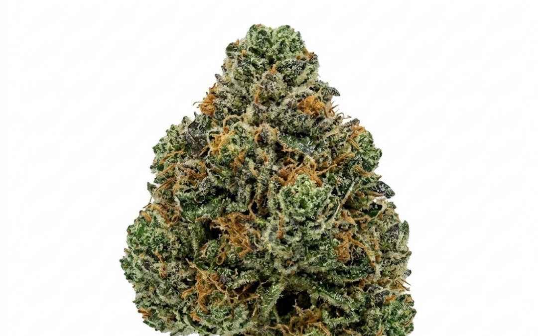 Mimosa Strain Review: The Perfect Social Spark