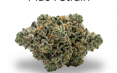 Mac 1 Strain: The Miracle Alien Cookies Review