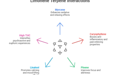 Understanding Limonene Terpene Effects and Benefits