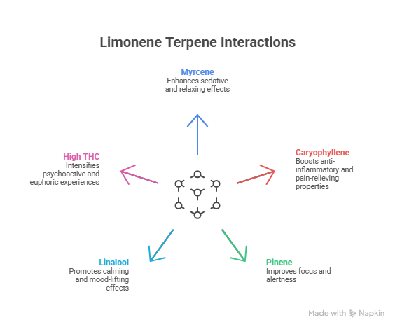 A diagram illustrating Limonene Terpene effects through its interactions with other compounds like Myrcene, Caryophyllene, Pinene, Linalool, and High THC. It highlights how these combinations influence sedation, pain relief, focus, mood-lifting, and euphoria.