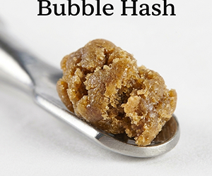 What is Bubble Hash? A Guide to Solventless Purity