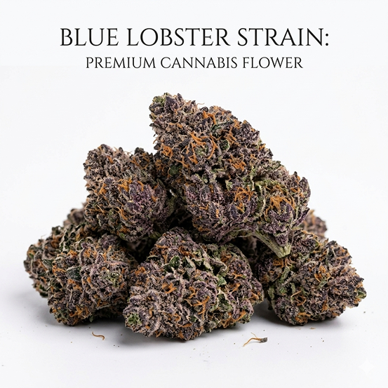 Blue Lobster Strain: Everything You Need to Know