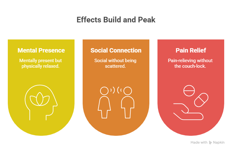 An infographic outlining the benefits of the Gary Payton strain. It features three sections: Mental Presence (mentally present, physically relaxed), Social Connection (social without being scattered), and Pain Relief (pain-relieving without couch-lock).