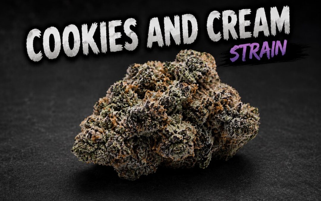 Cookies and Cream Strain