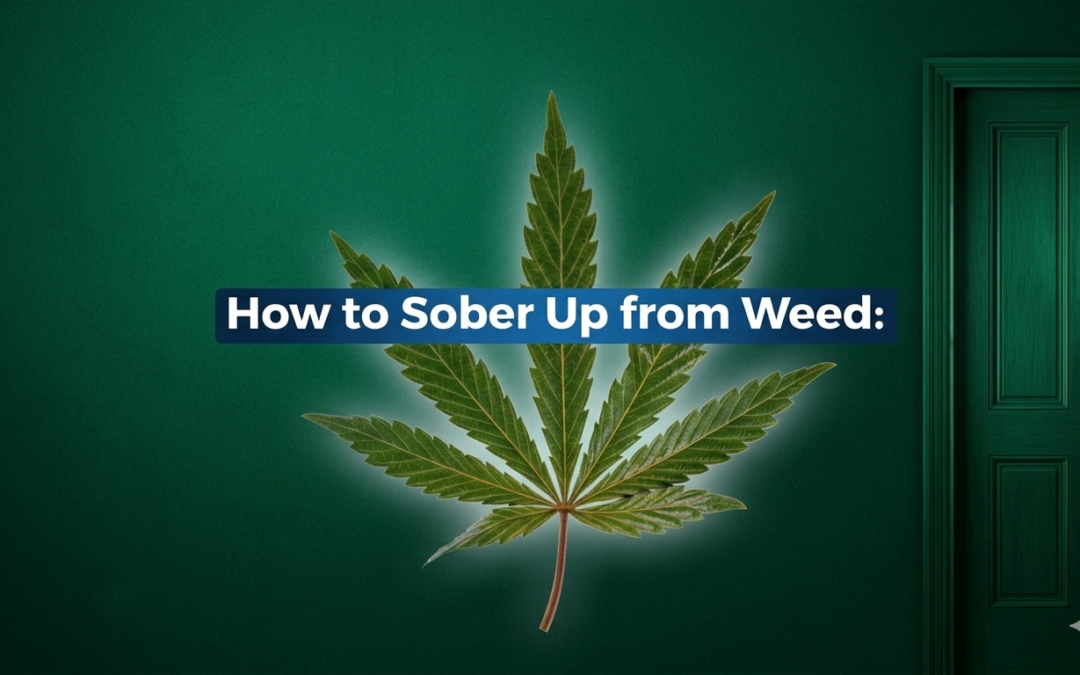 How to sober up from edibles