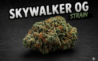 Mastery of the Force: Skywalker OG Strain Review