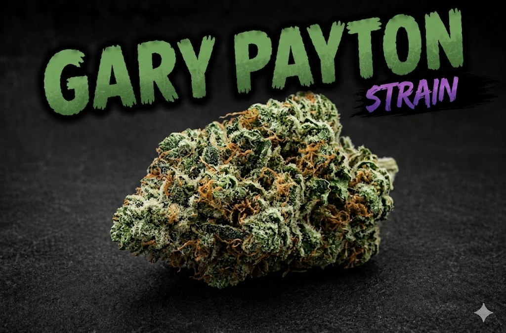 gary patron strain