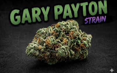 The Slam Dunk: Reviewing the Gary Payton Strain