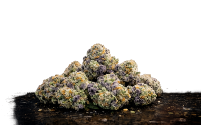 Blue Zushi Strain: Experience the Calm of This Rare Hybrid