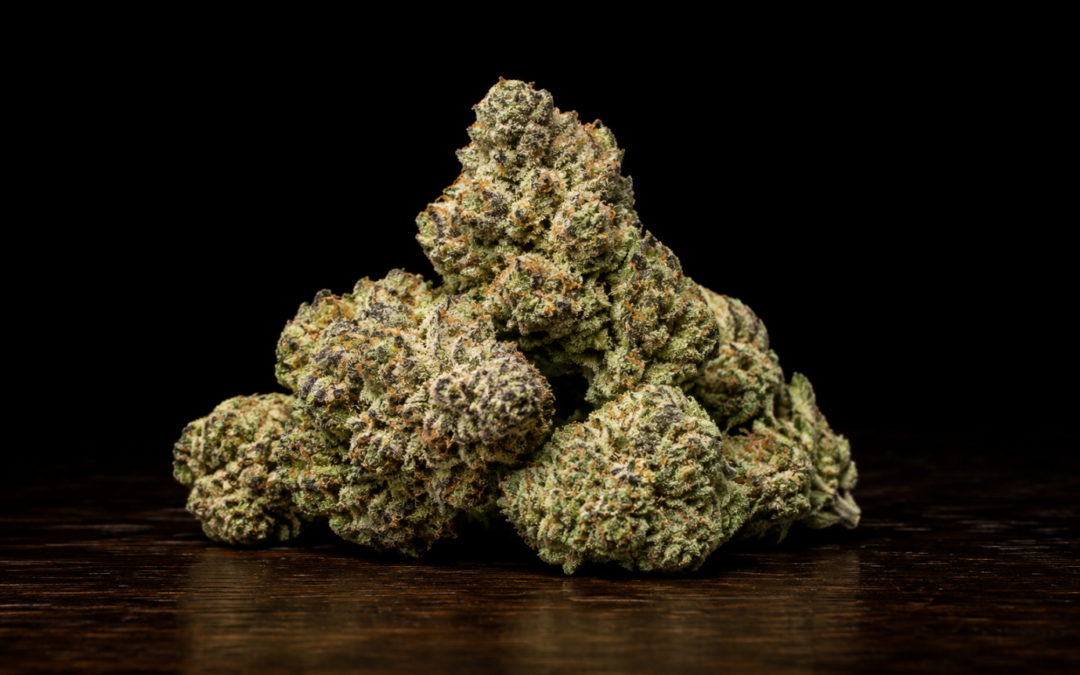 Watermelon Z Strain