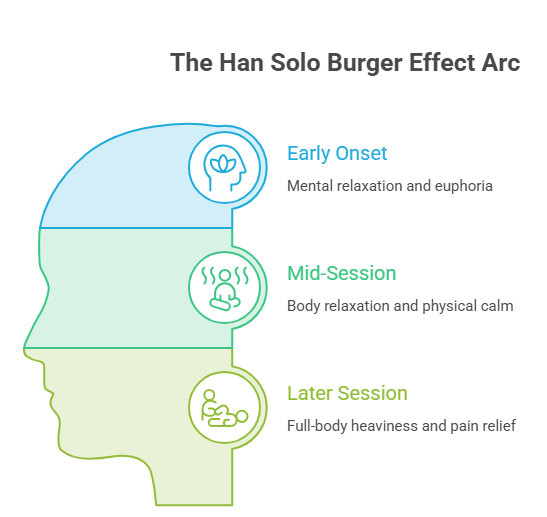 An infographic that illustrates the phase breakdown of the Han Solo Burger strain, moving from early-onset mental relaxation and euphoria to mid-session body relaxation and physical calm, and concluding with later-session full-body heaviness and pain relief.