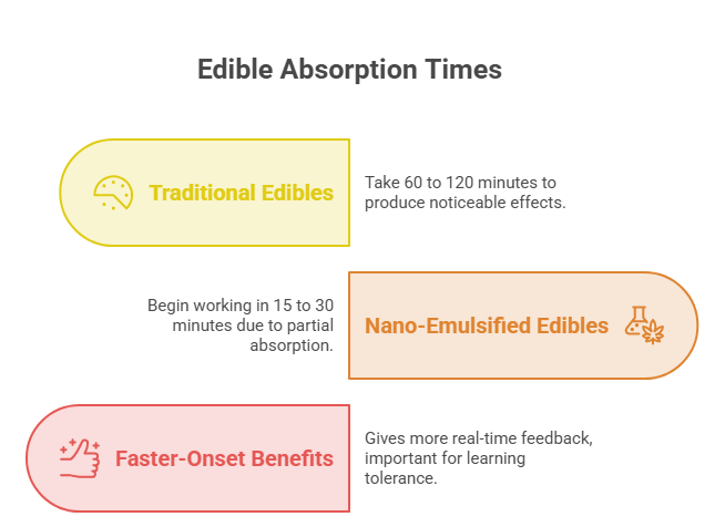 An infographic that contrasts traditional edibles, which take 60 to 120 minutes to work, with fast-onset nano-emulsified edibles that take 15 to 30 minutes. This highlights the benefits of real-time feedback, making them some of the best edibles for beginners learning tolerance.
