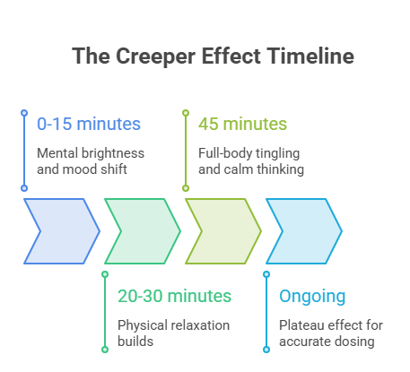 An infographic that details the gradual effects of the Watermelon Z strain, spanning from early mental brightness and physical relaxation within 30 minutes to full-body tingling at 45 minutes and an ongoing plateau effect for accurate dosing.