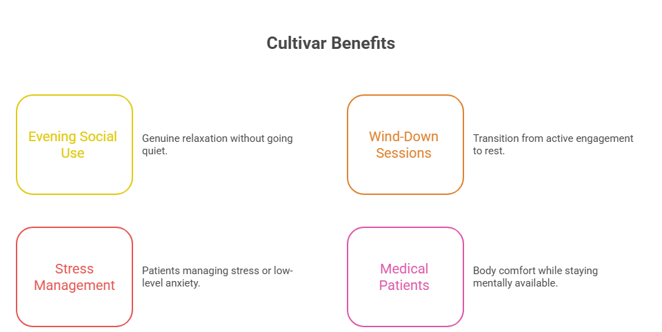 An infographic that outlines the ideal uses for the Pink Rozay strain, including evening social use for relaxation, wind-down sessions to transition to rest, stress management for low-level anxiety, and medical patient benefits like body comfort.