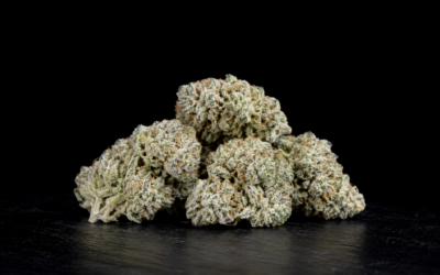White Fire OG Strain: Potency, Flavor, and Effects