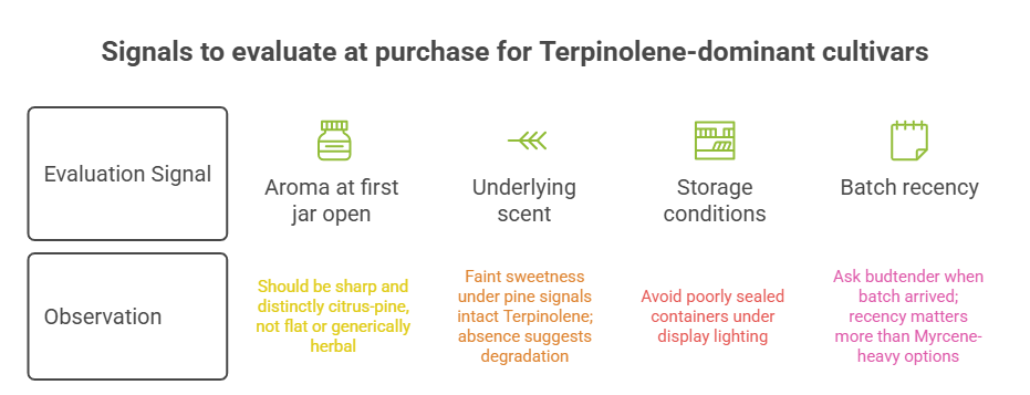 An infographic relevant to selecting options like the White Durban strain. A structured table pairs four evaluation signals with ideal observations: initial jar aroma, underlying scent, storage conditions, and batch recency.