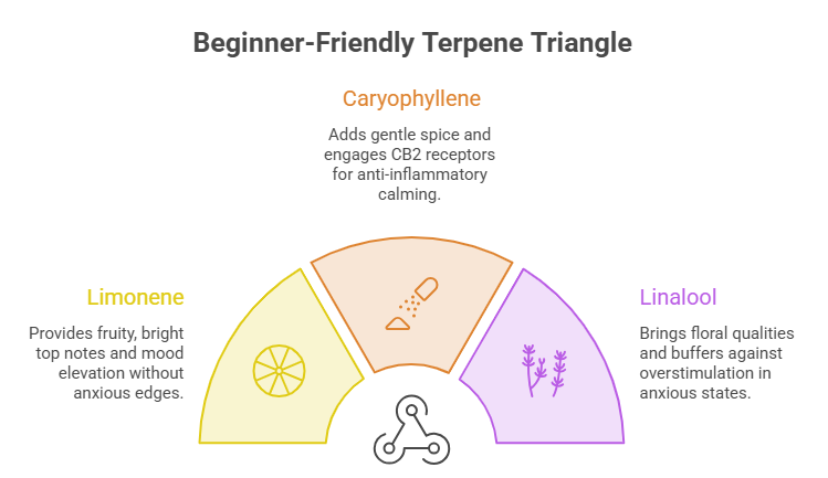 An infographic highlighting key compounds relevant to smooth cultivars like the Blue Razz Strain. A diagram that breaks down three main terpenes: limonene, caryophyllene, and linalool.