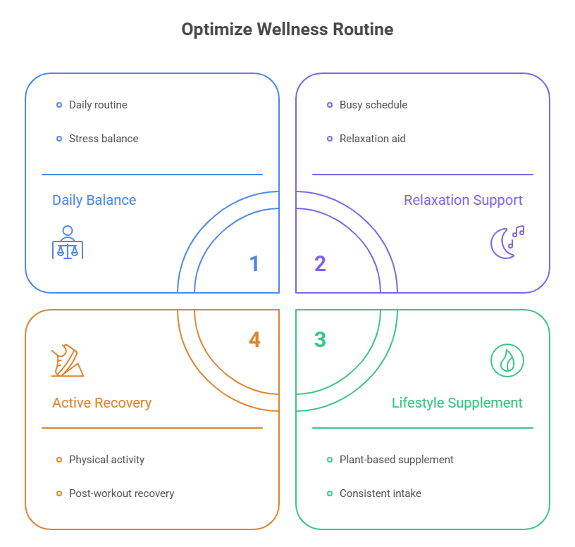 An infographic that highlights core uses for CBD-rich hemp oil products. Four boxes detail key lifestyle applications: daily balance for stress management, relaxation support for busy schedules, lifestyle supplementation for plant-based intake, and active recovery for physical post-workout support.