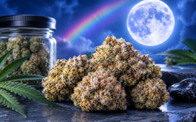 Exploring the Sweet and Fruity Moonbow Strain Genetics